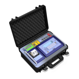 DFWKRP - WEIGHT INDICATOR WITH PRINTER